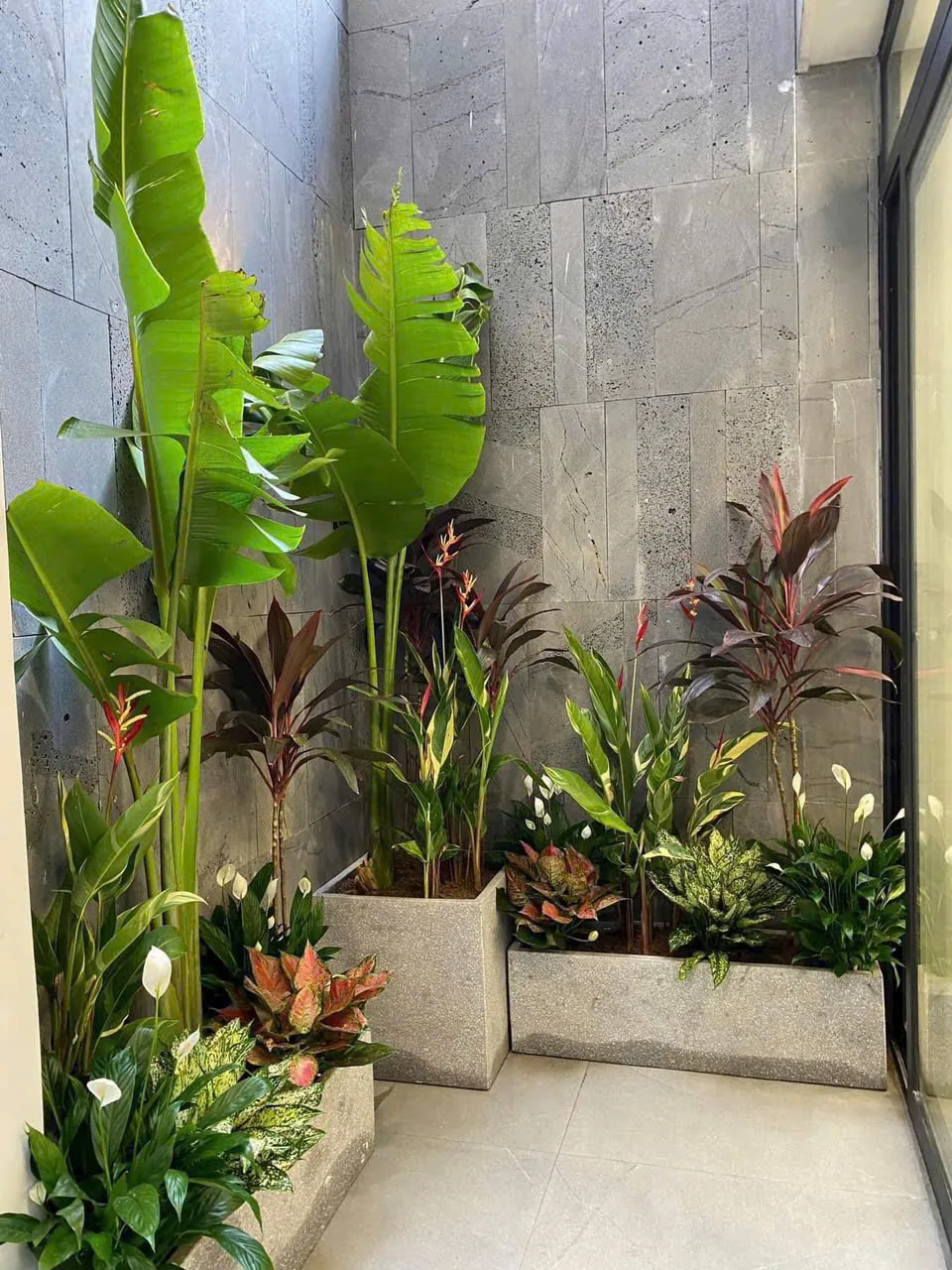 Giếng trời ốp đá tự nhiên kết hợp cây cảnh